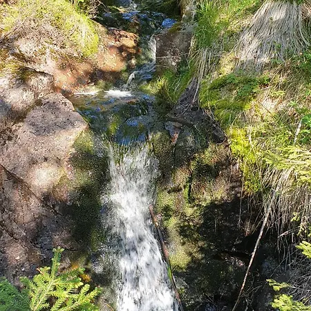 Areholtet Log Cabin, Norway 公寓